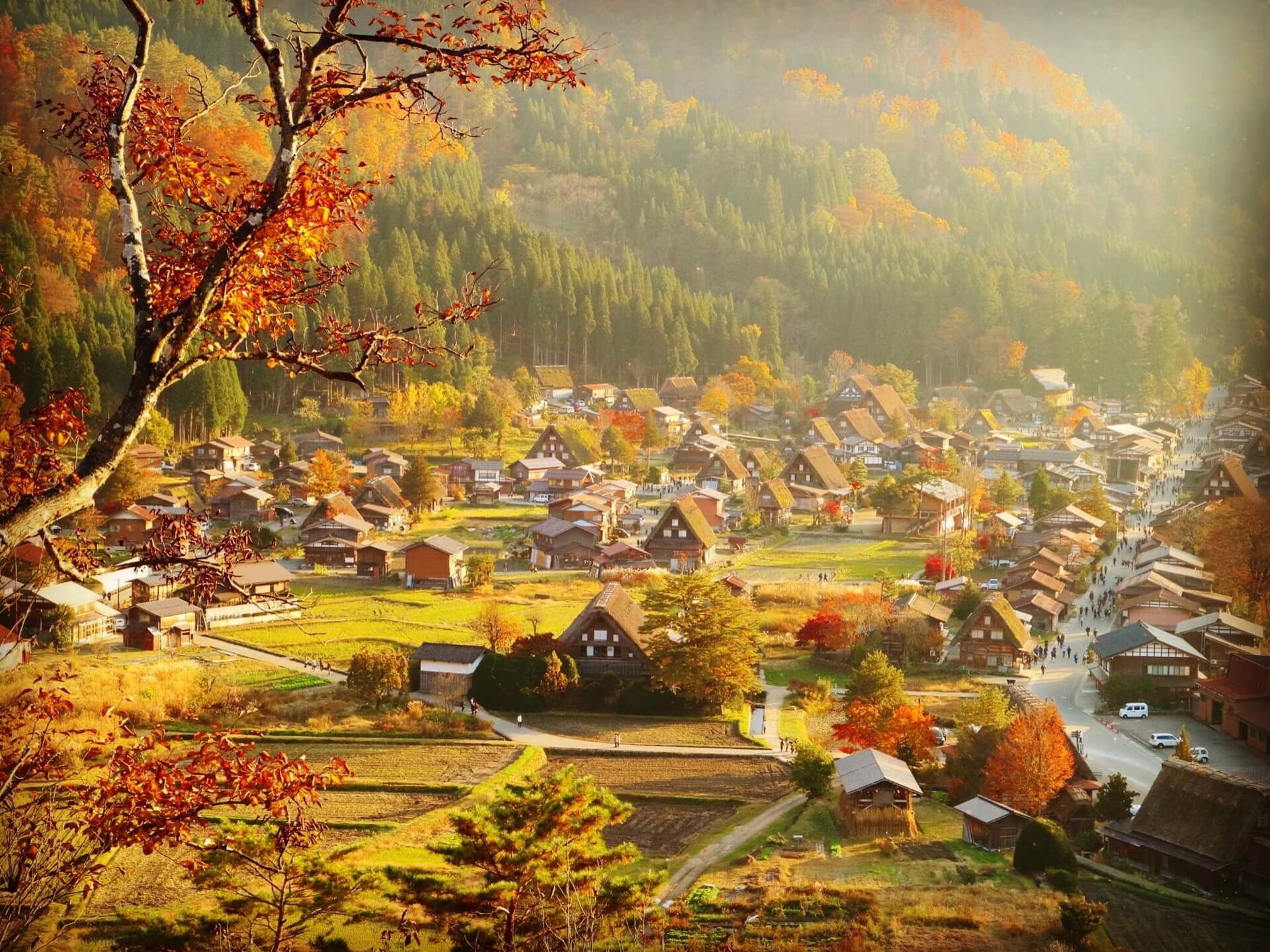 shirakawa-autumn