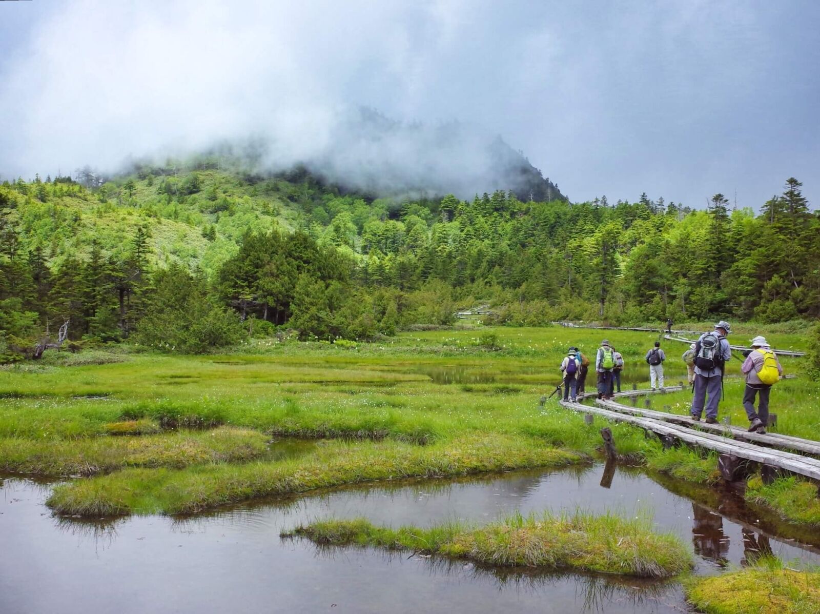 shiga-hiking-wetlands