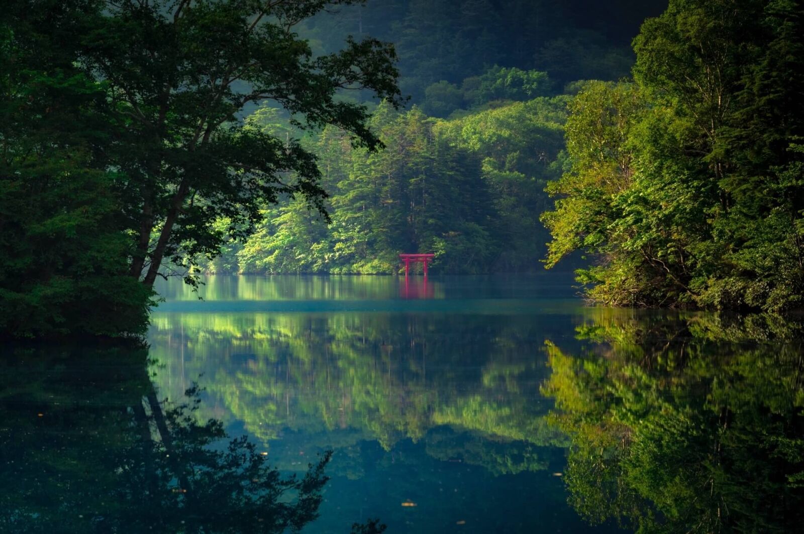 shiga-wetlands