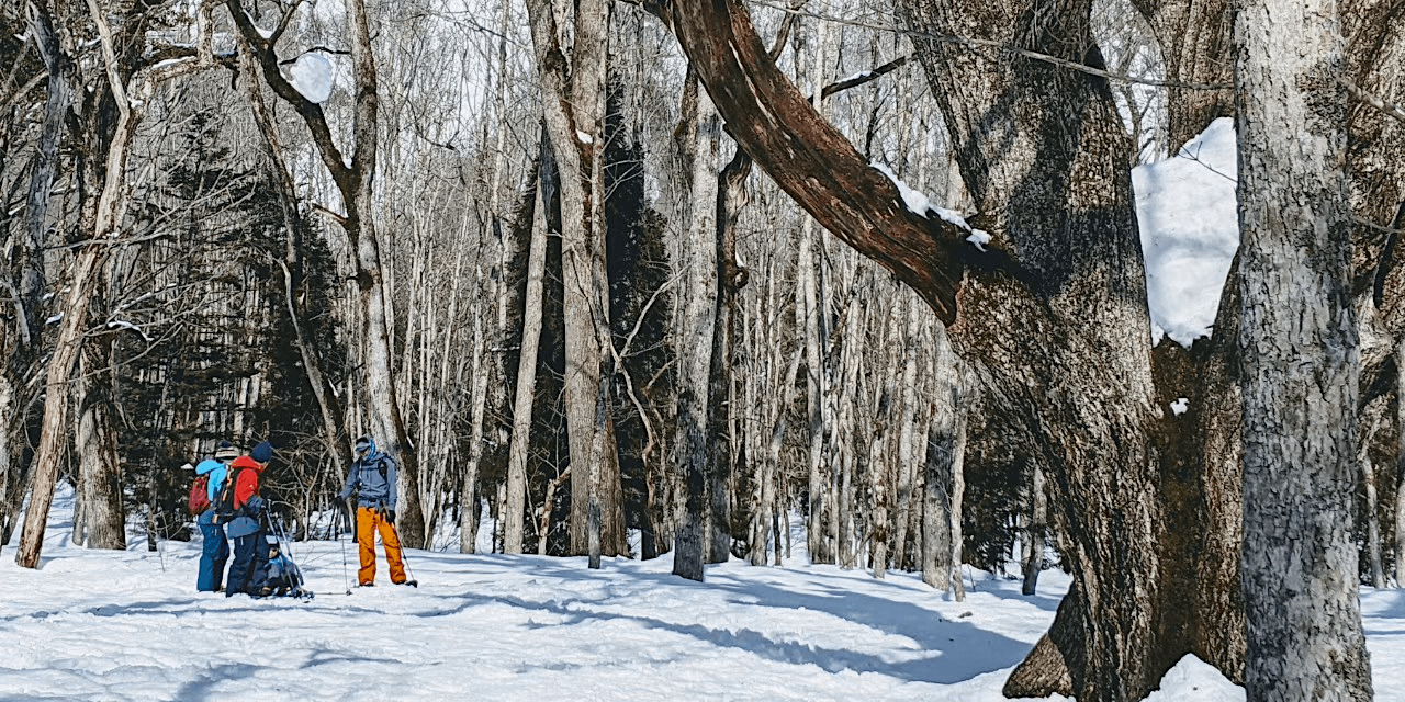 togakushi-snowshoe-banner-edit