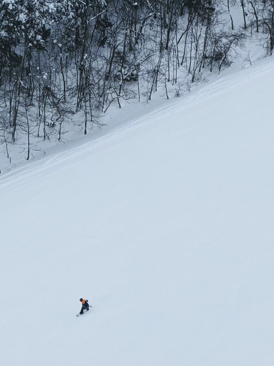 shiga-kogen-giant