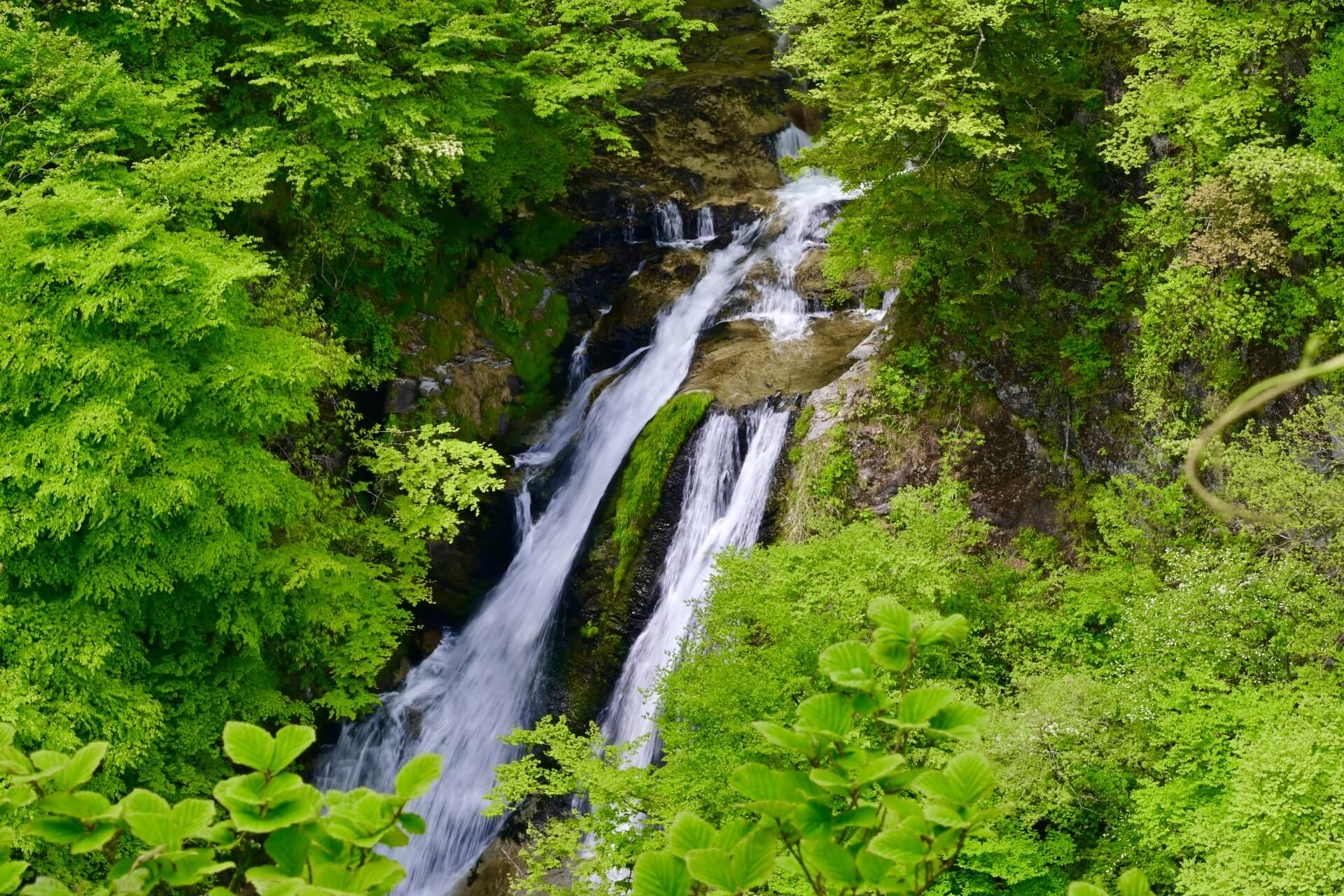 nikko-kirifuri