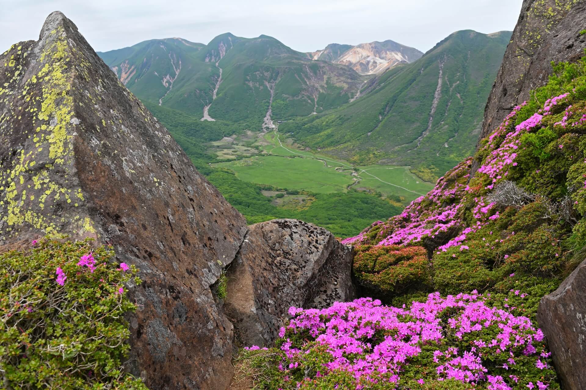 kyushu-kuju-mountains