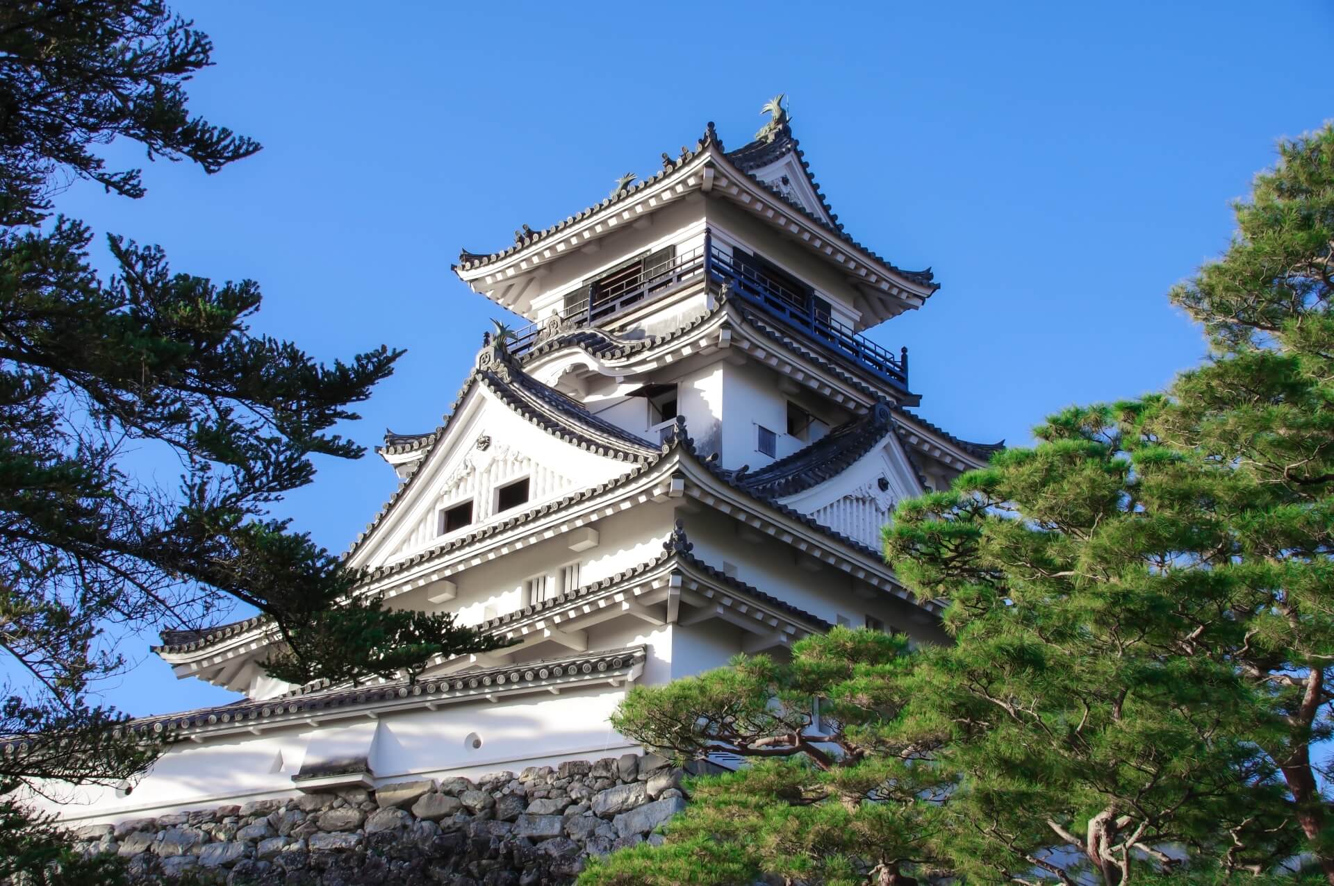 shikoku-kochi-castle