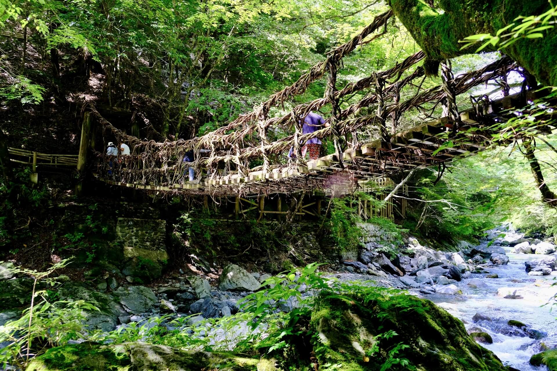 shikoku-tokushima-oku-iya-kazurabashi