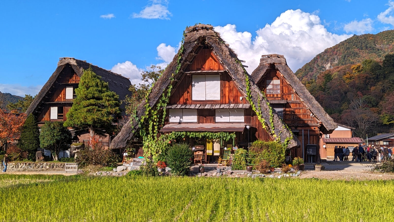 Takayama-Shirakawa-go