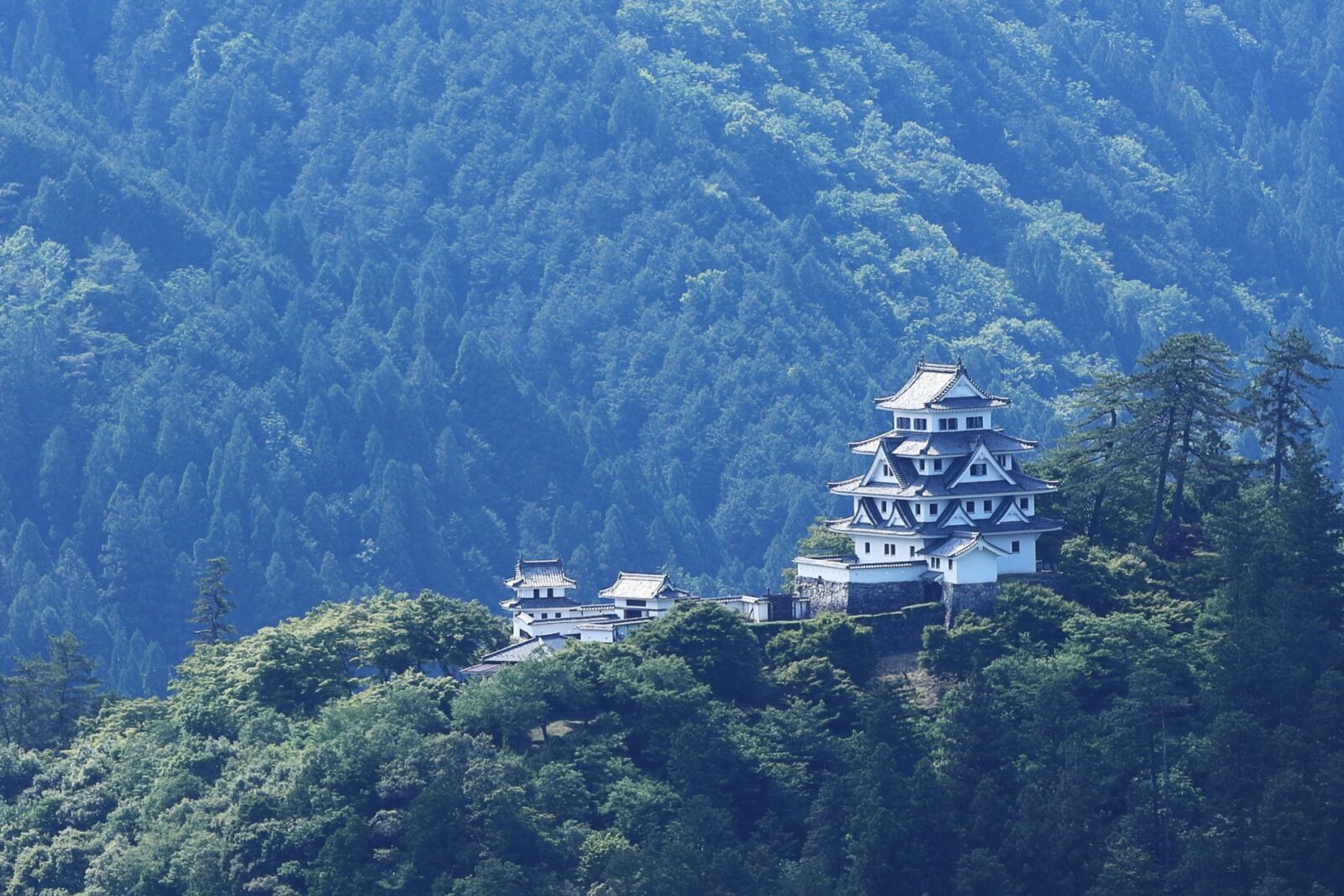 Gujo-Hachiman