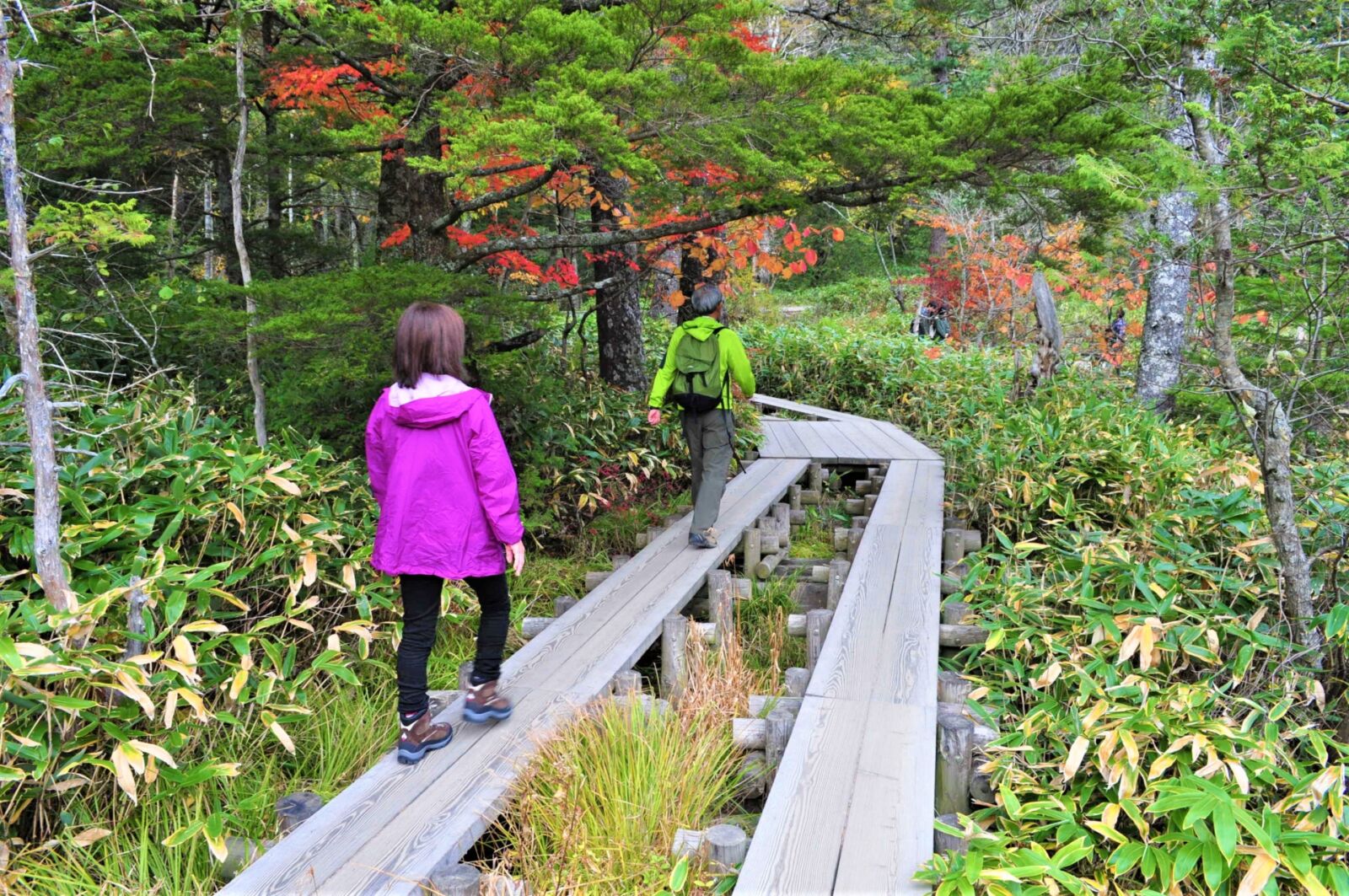 Kamikochi