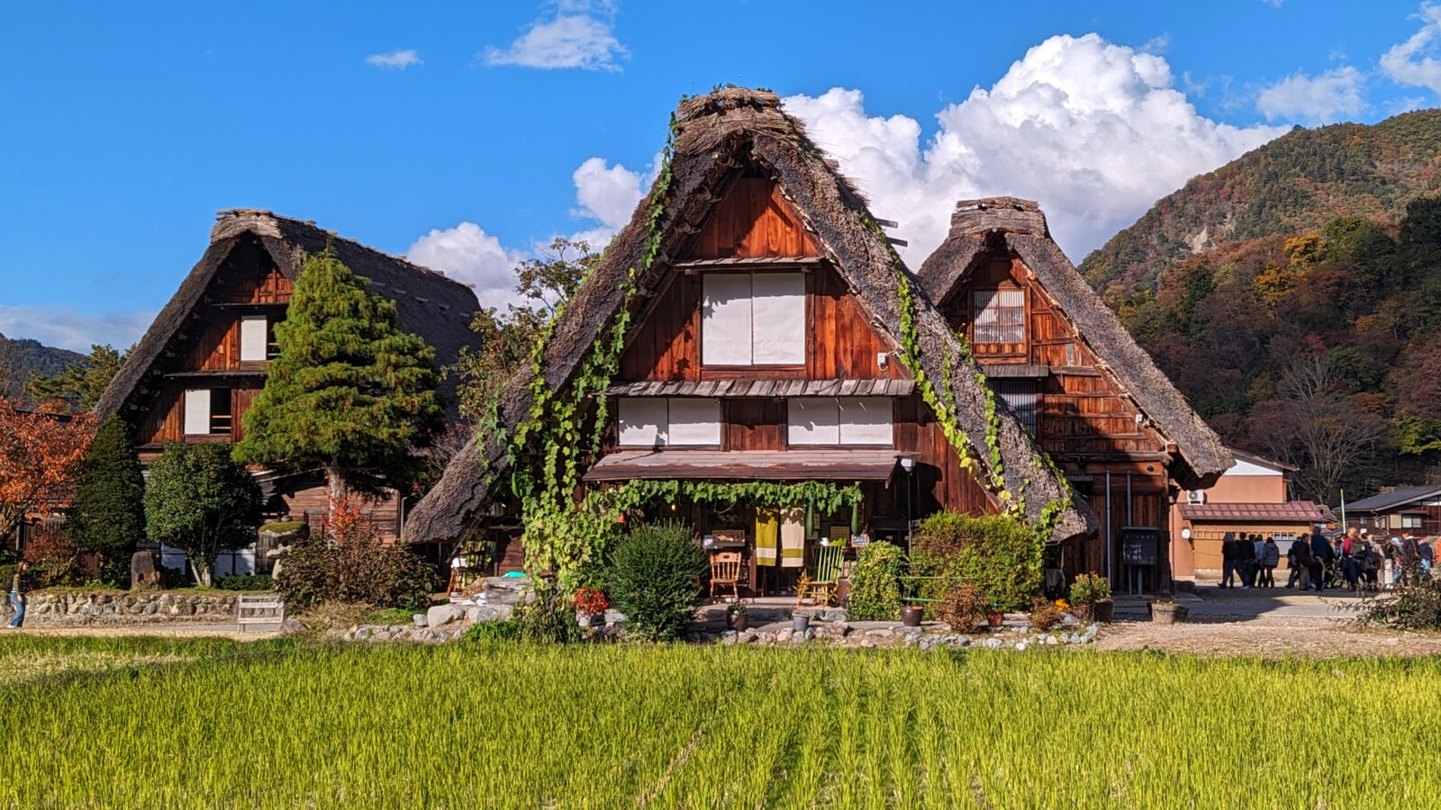 Takayama-Shirakawago