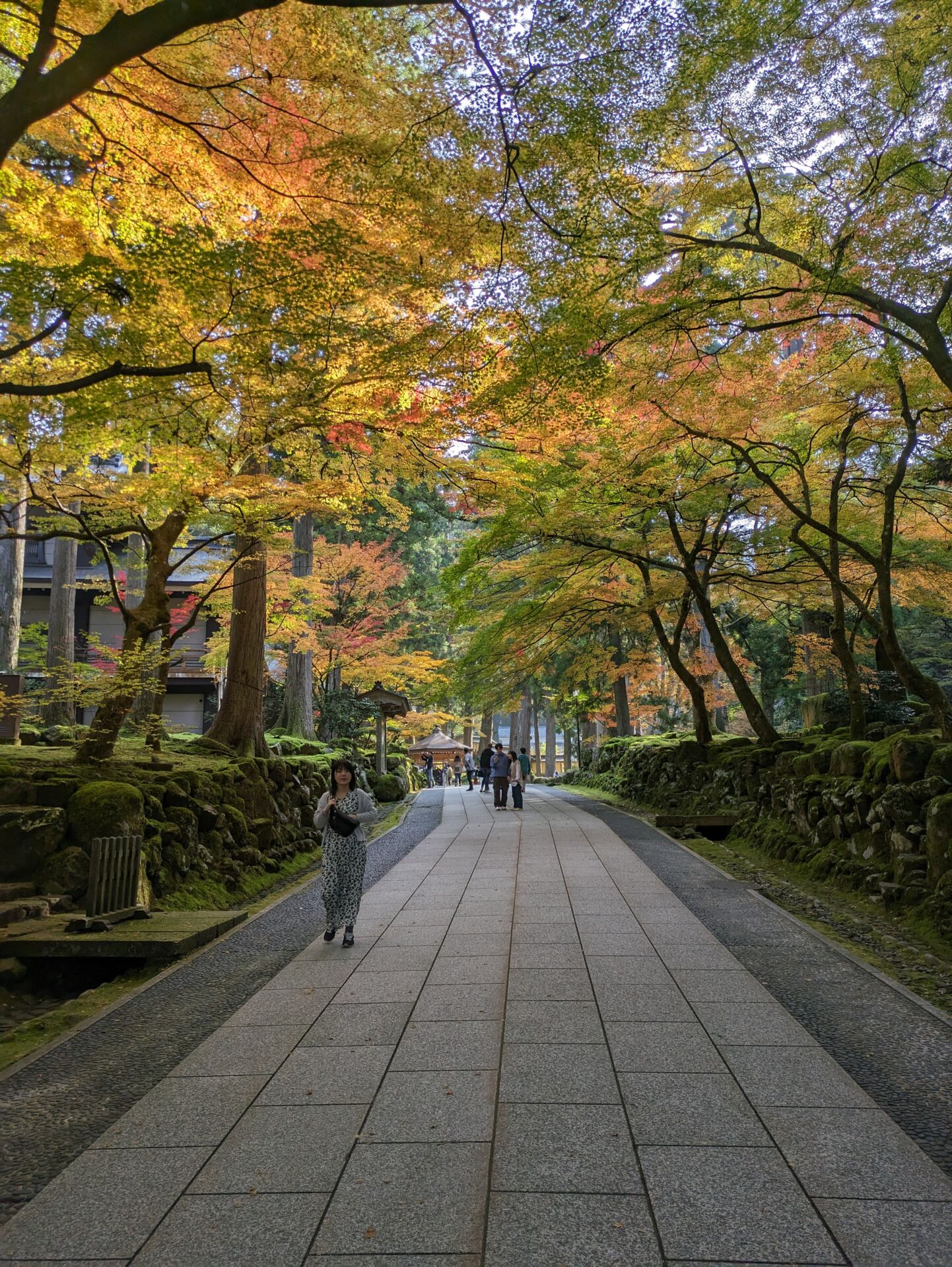 fukui-eiheiji