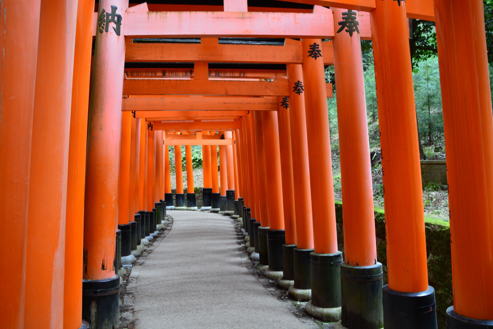 fushimi-kyoto