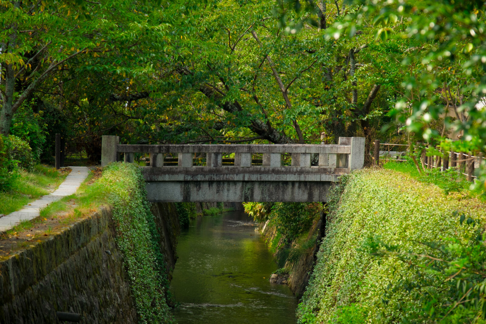 tetsugaku-no-michi-kyoto