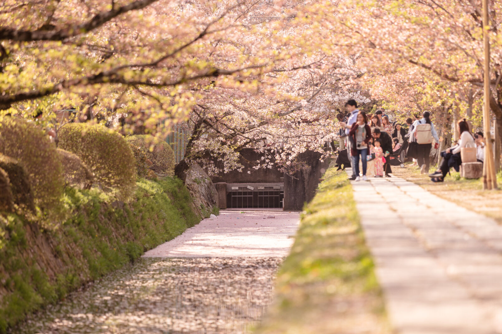 tetsugaku-no-michi-kyoto