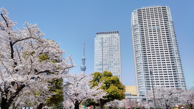 Asakusa-Sumida-park