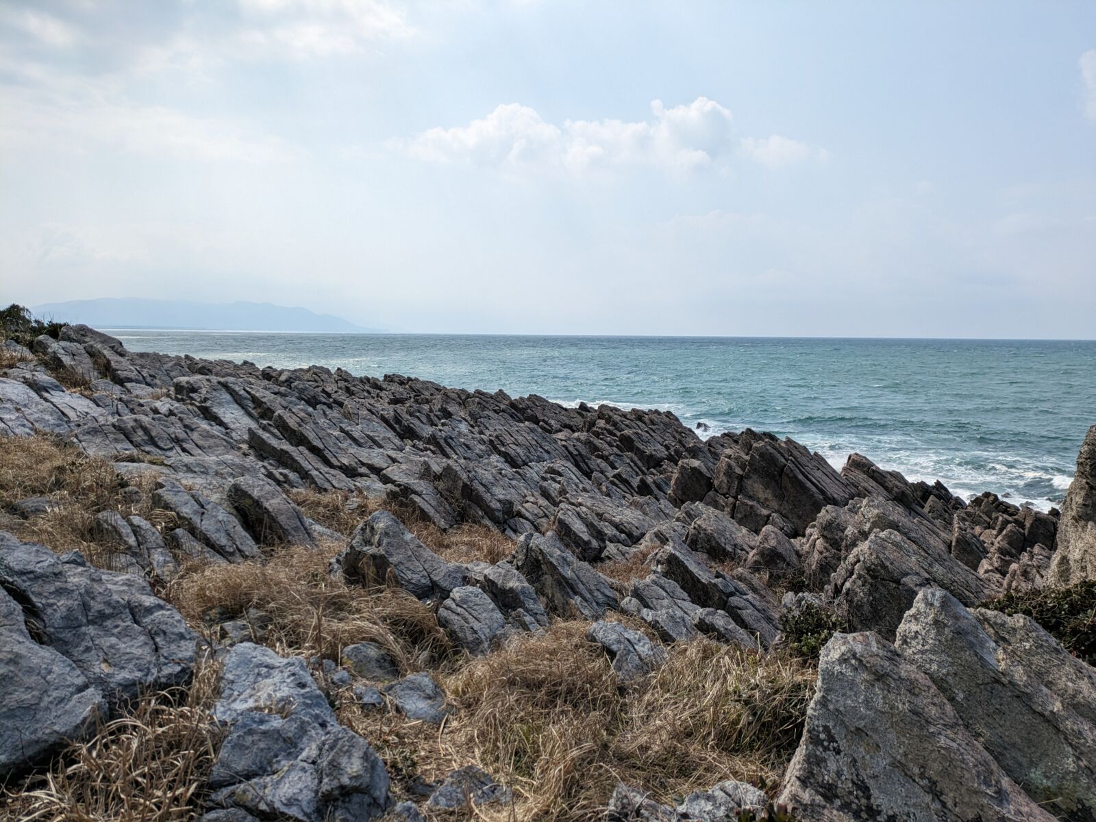 fukui-oshima