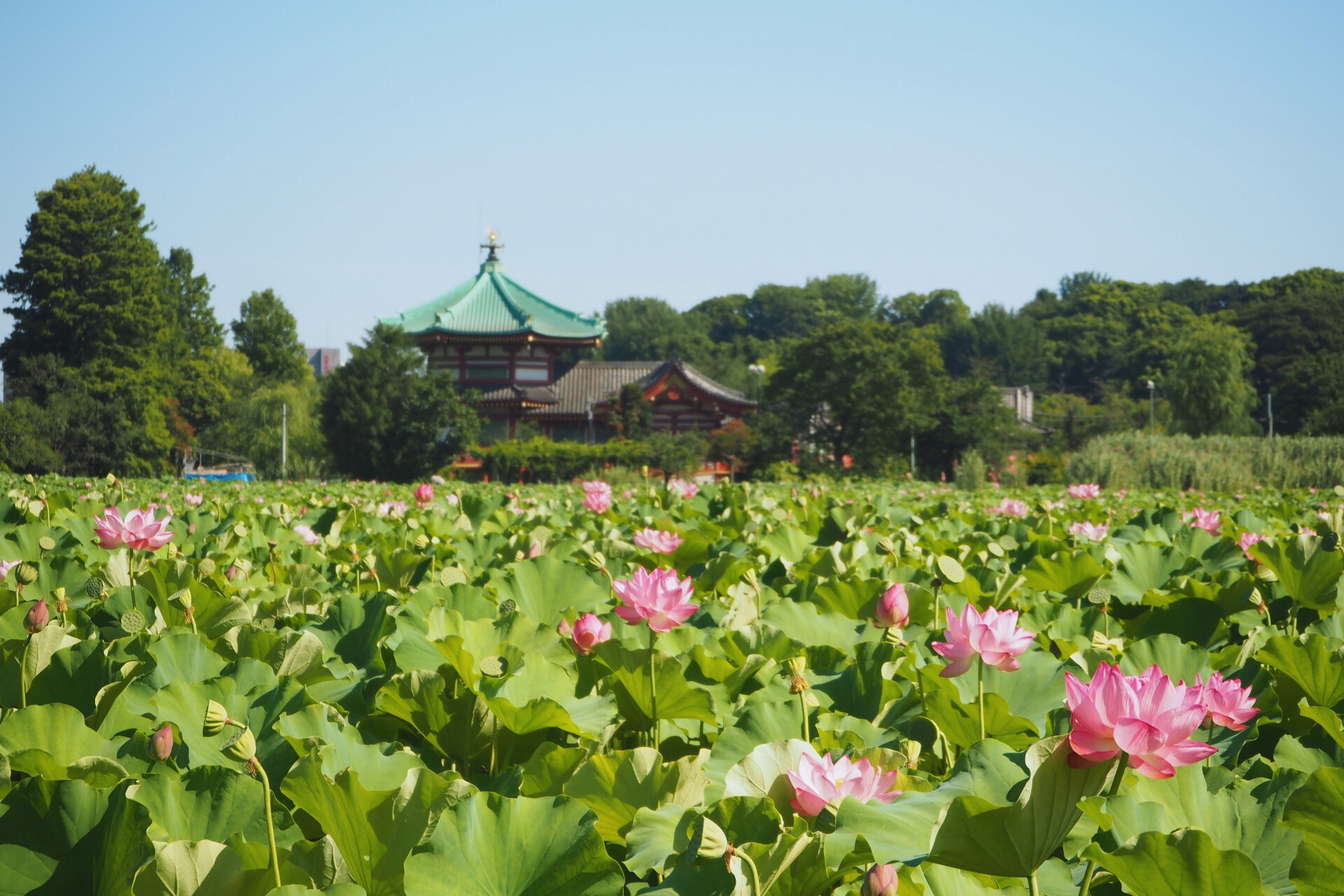 Ueno-park