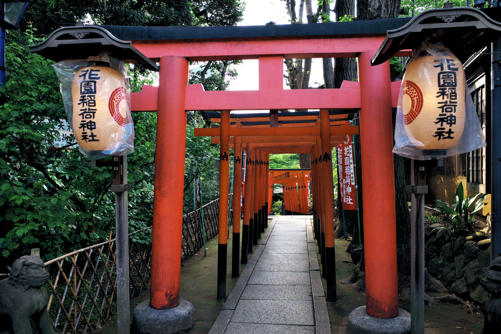 Ueno-park