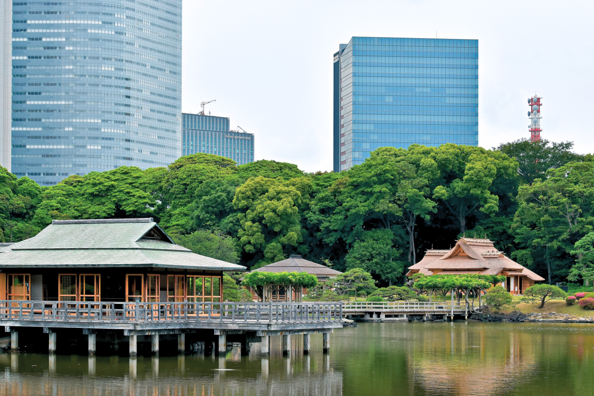 Tokyo-hamarikyu