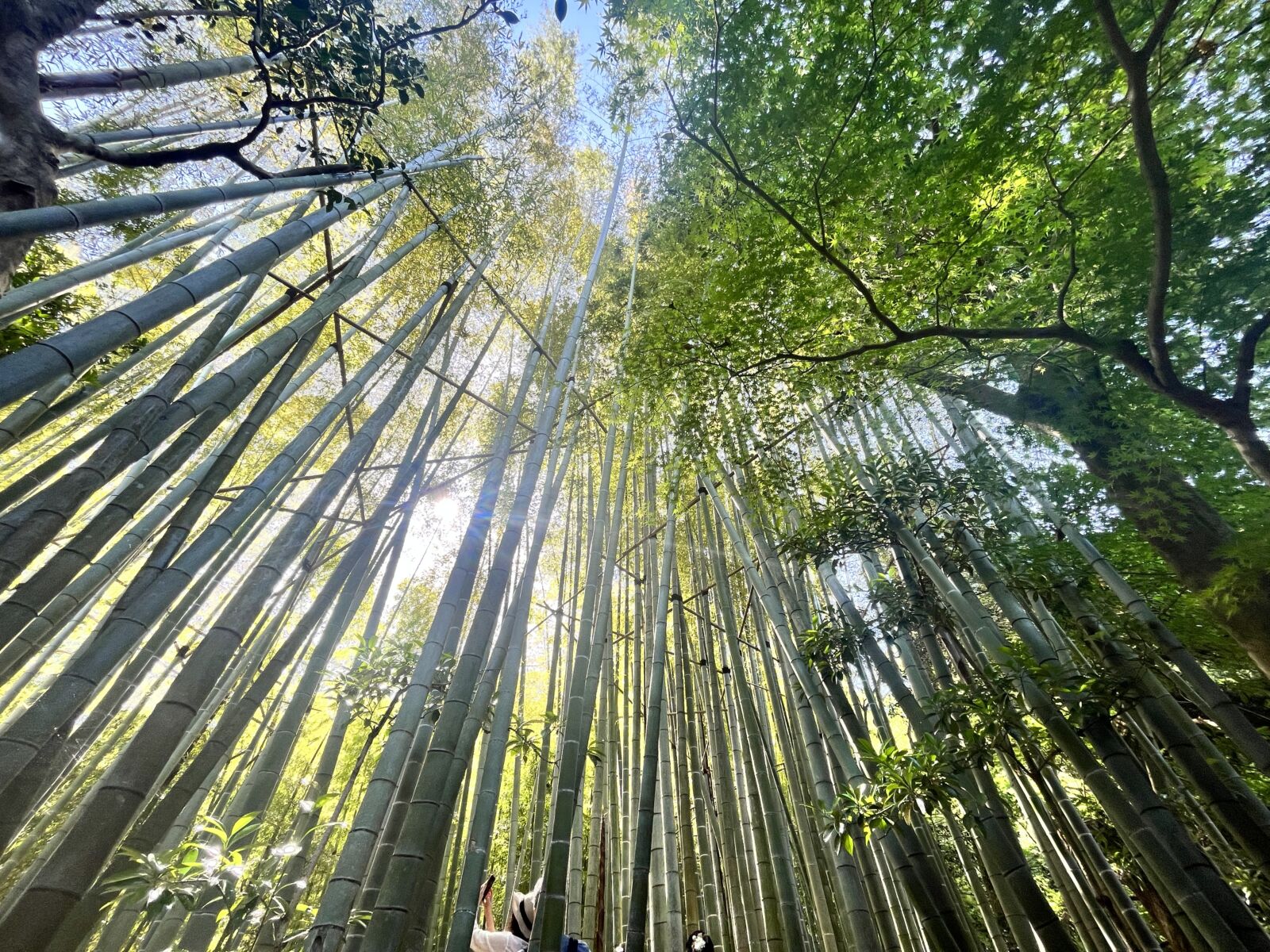 Kamakura