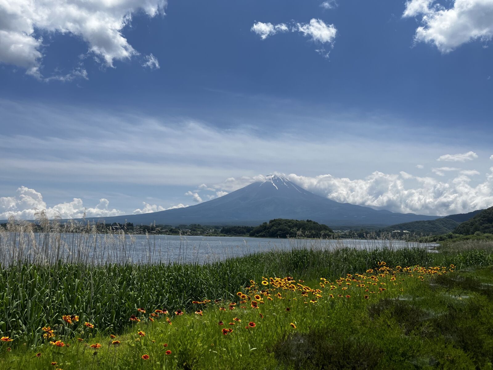 Fuji Kawaguchiko