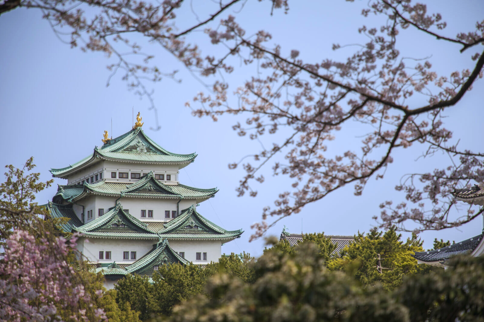 Nagoya Castle