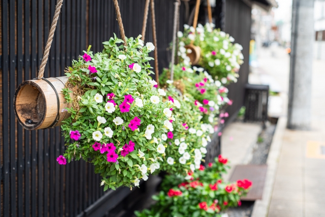 flowers decorate a house in Shikemichi near Endoji shopping district in Nagoya