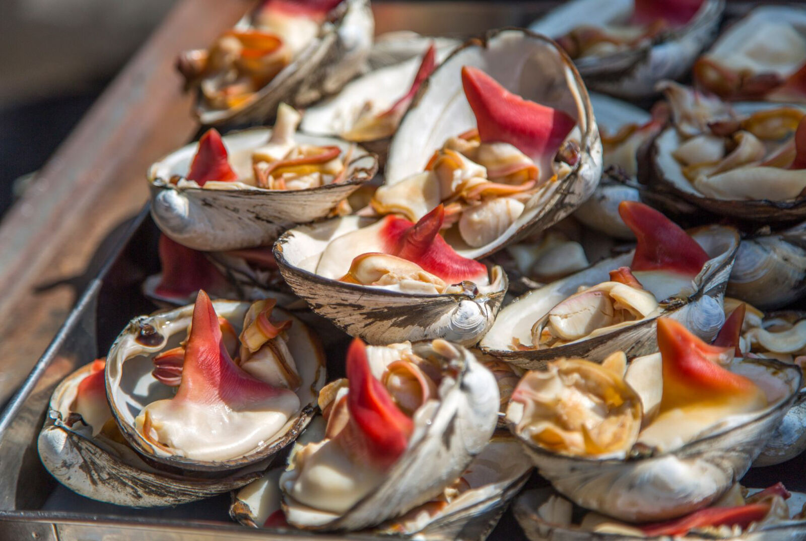 clams for sale at a fish market