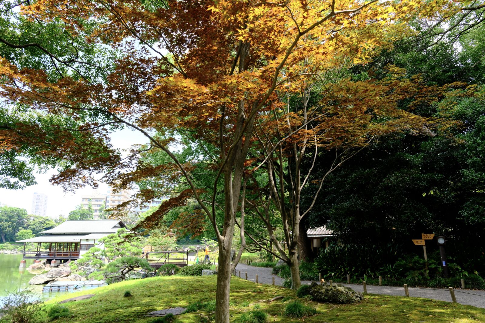 Tokyo-Kiyosumi