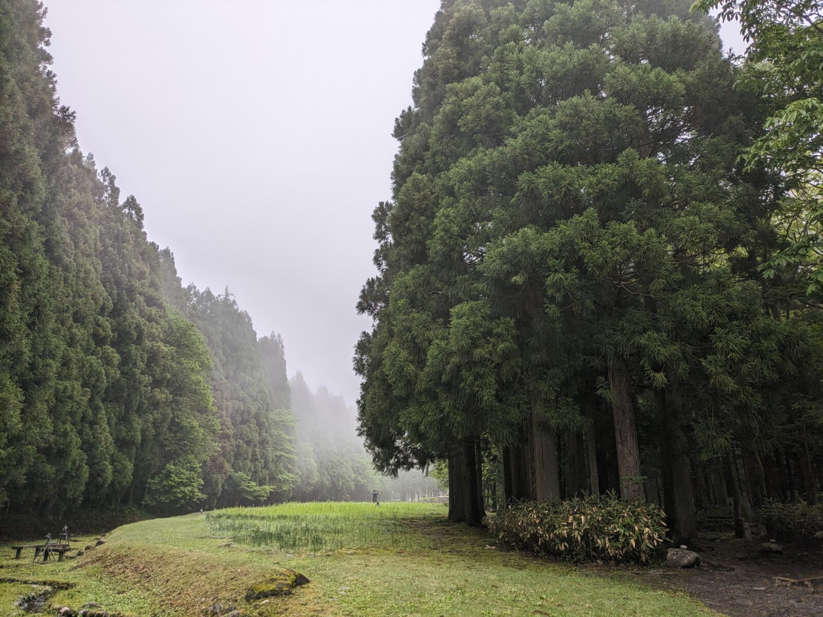 tateyama-kurobe-alpine-route-ashikuraji