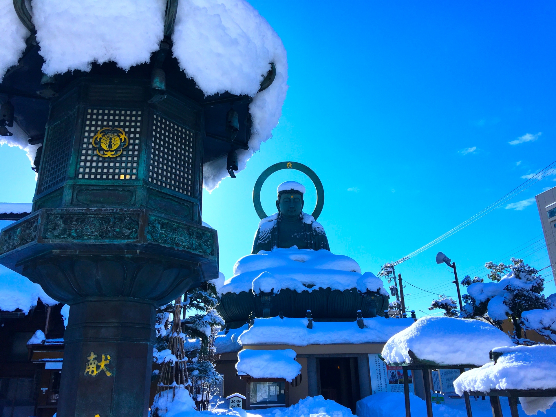 takaoka-bigbuddha-winter