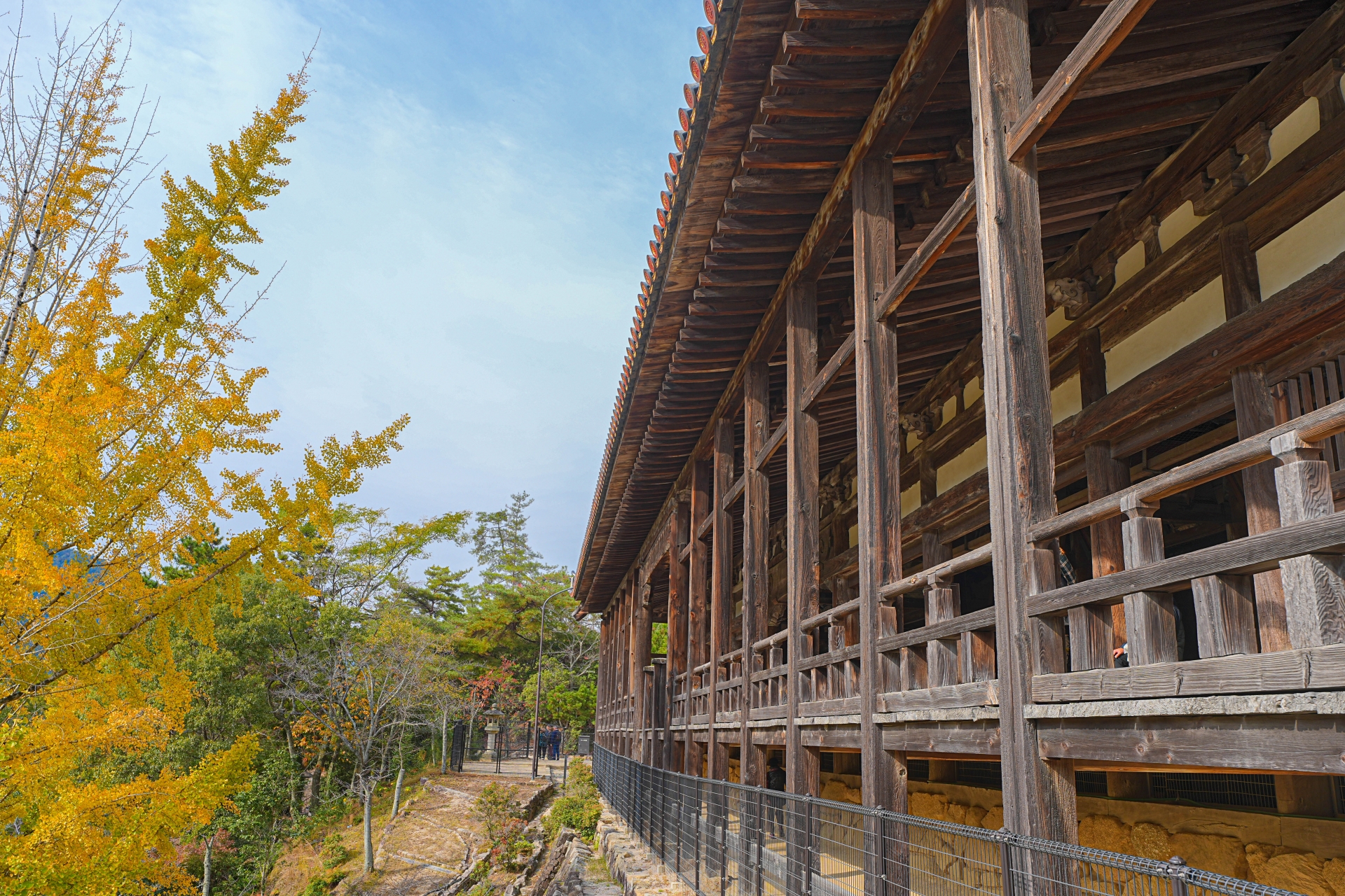 MIYAJIMA - SENJOKAKU