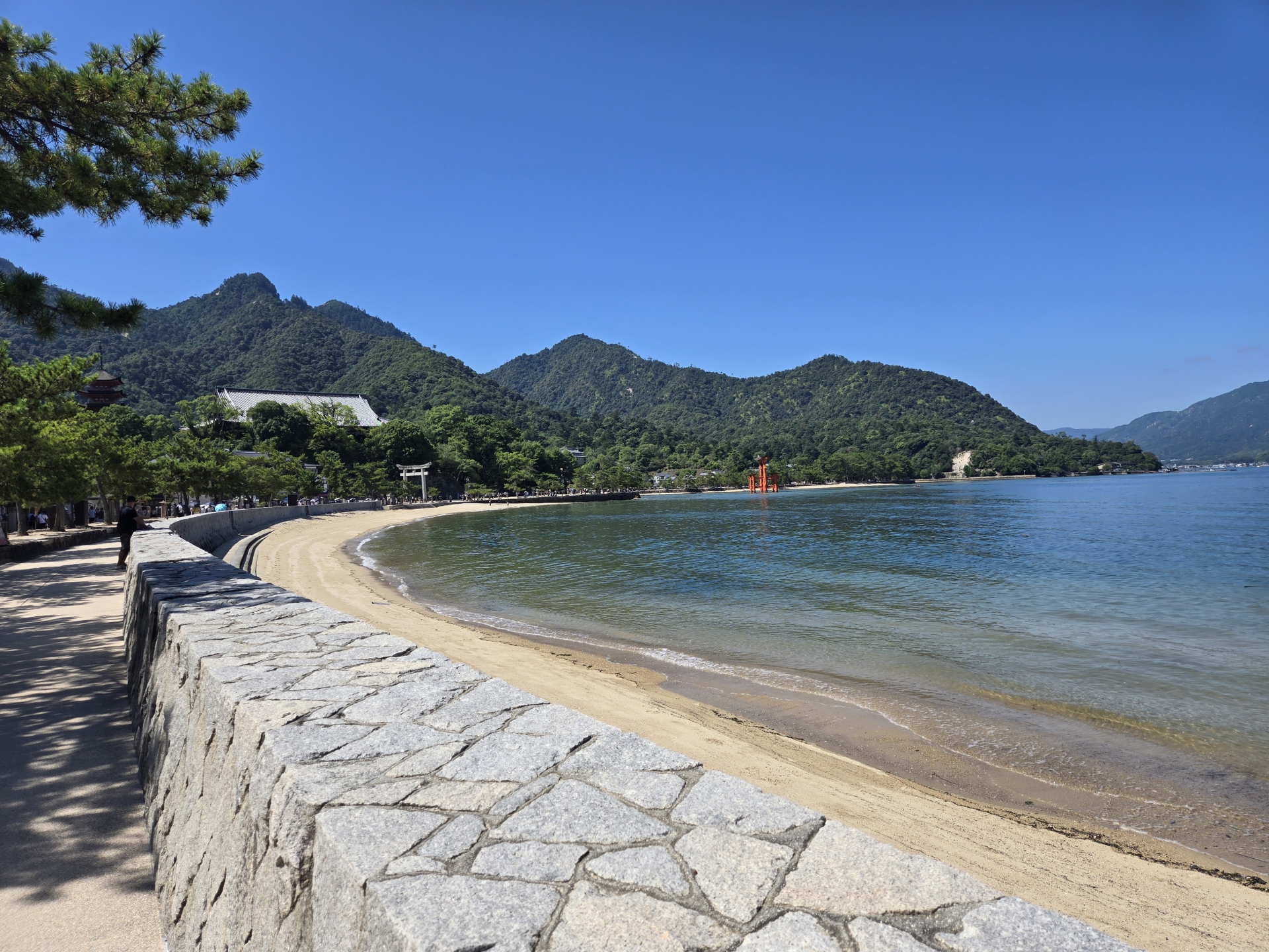 MIYAJIMA - VIEW