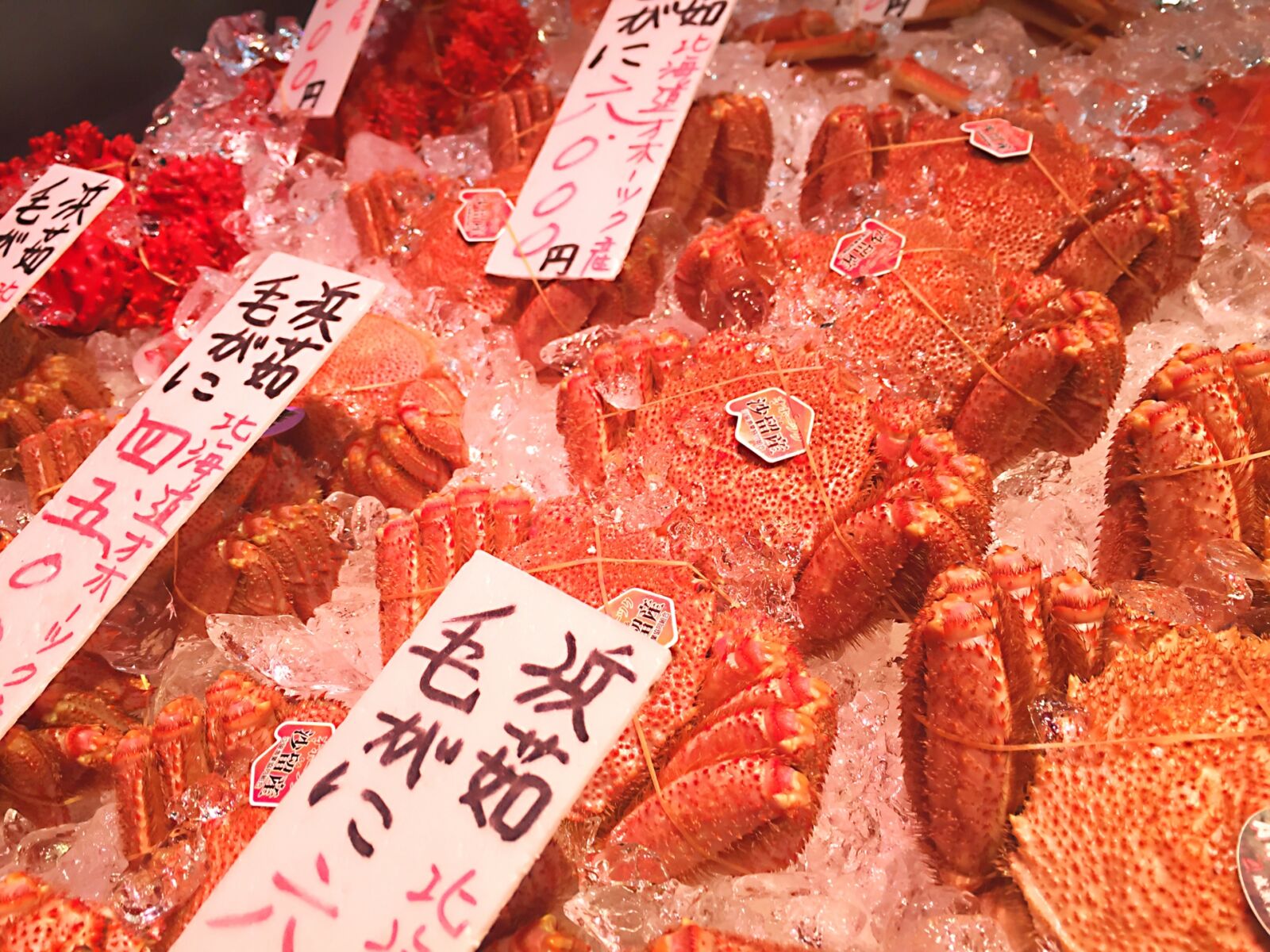 nijo-fish-market