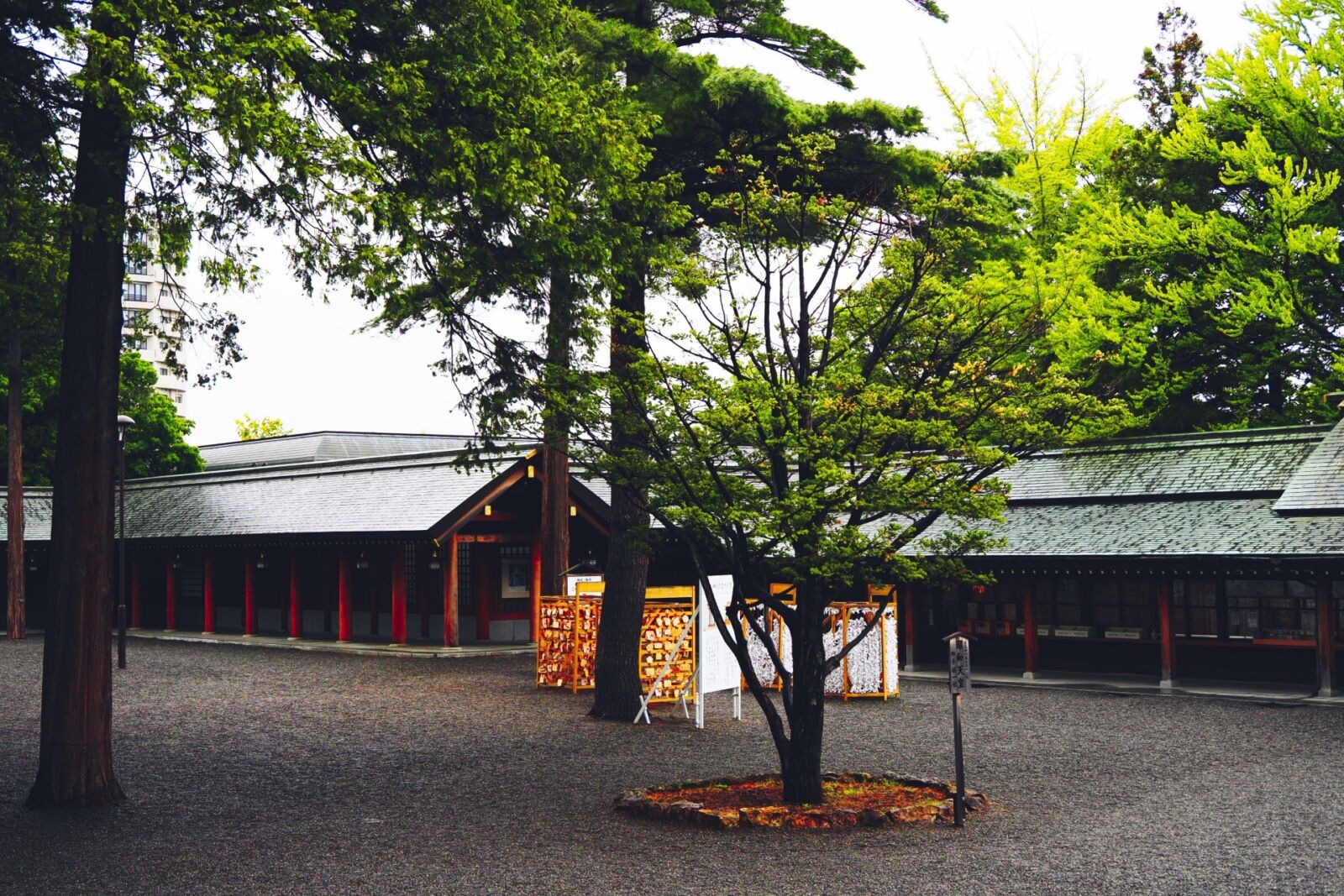 Hokkaido-Shrine